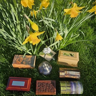 05c61251 35df 4807 a4d5 decc6b06d03a